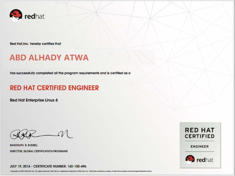 Professional Certificate 6